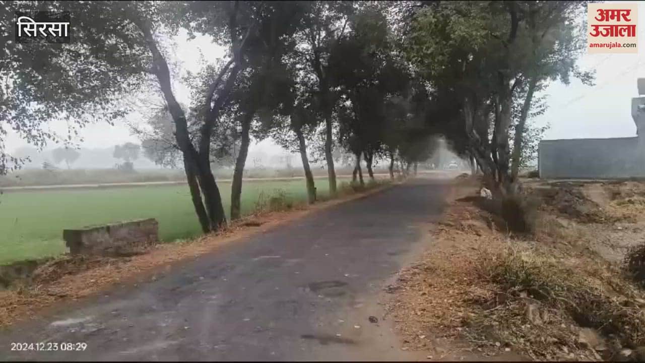 VIDEO : Rain in Sirsa