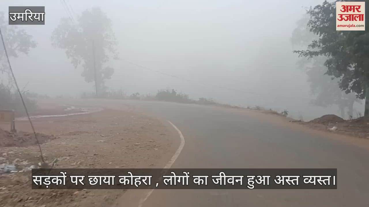 Umaria News: Cold wave intensifies in Umaria, traffic affected by fog