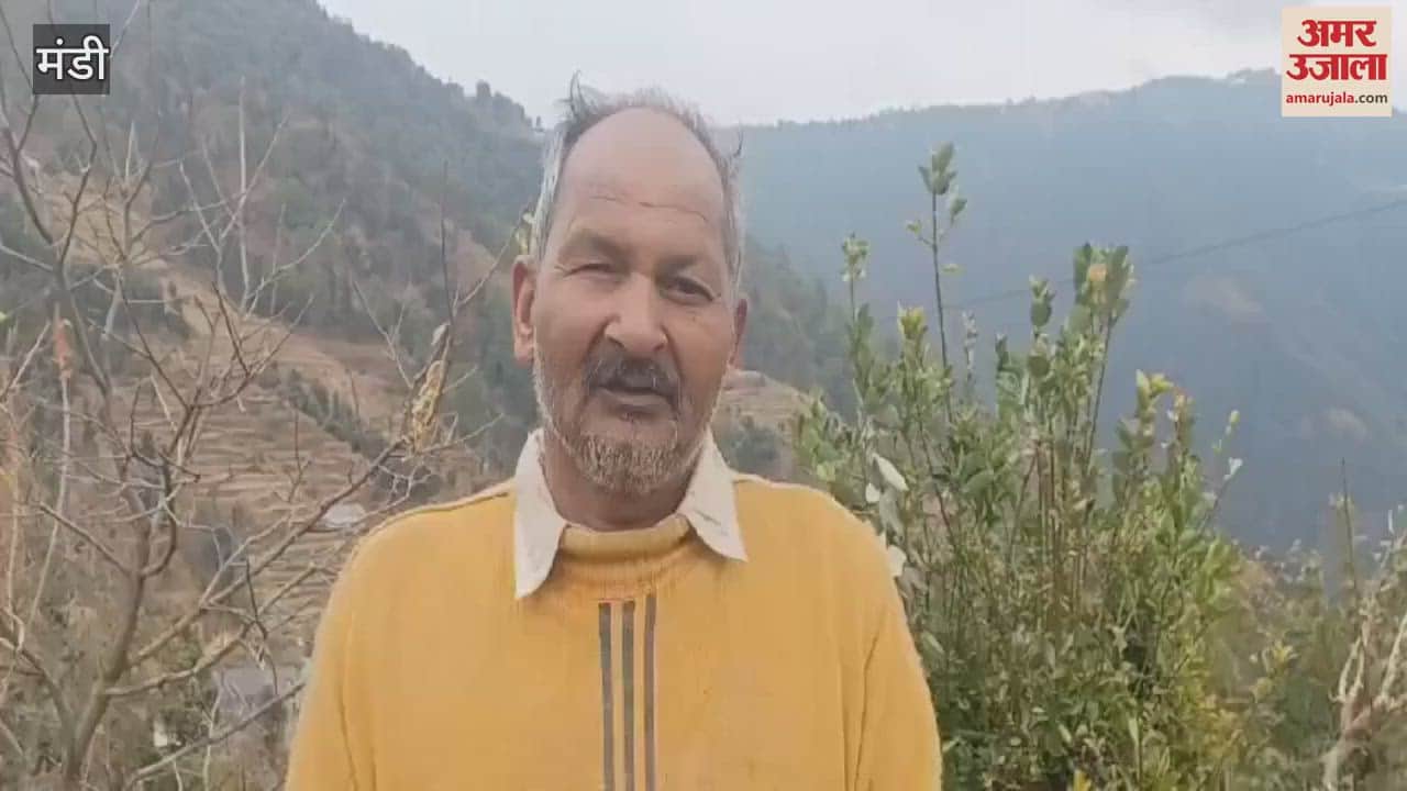 VIDEO : After 3 months the farmers and gardeners of Mandi are overjoyed with the rain and snowfall busy in the fields and gardens