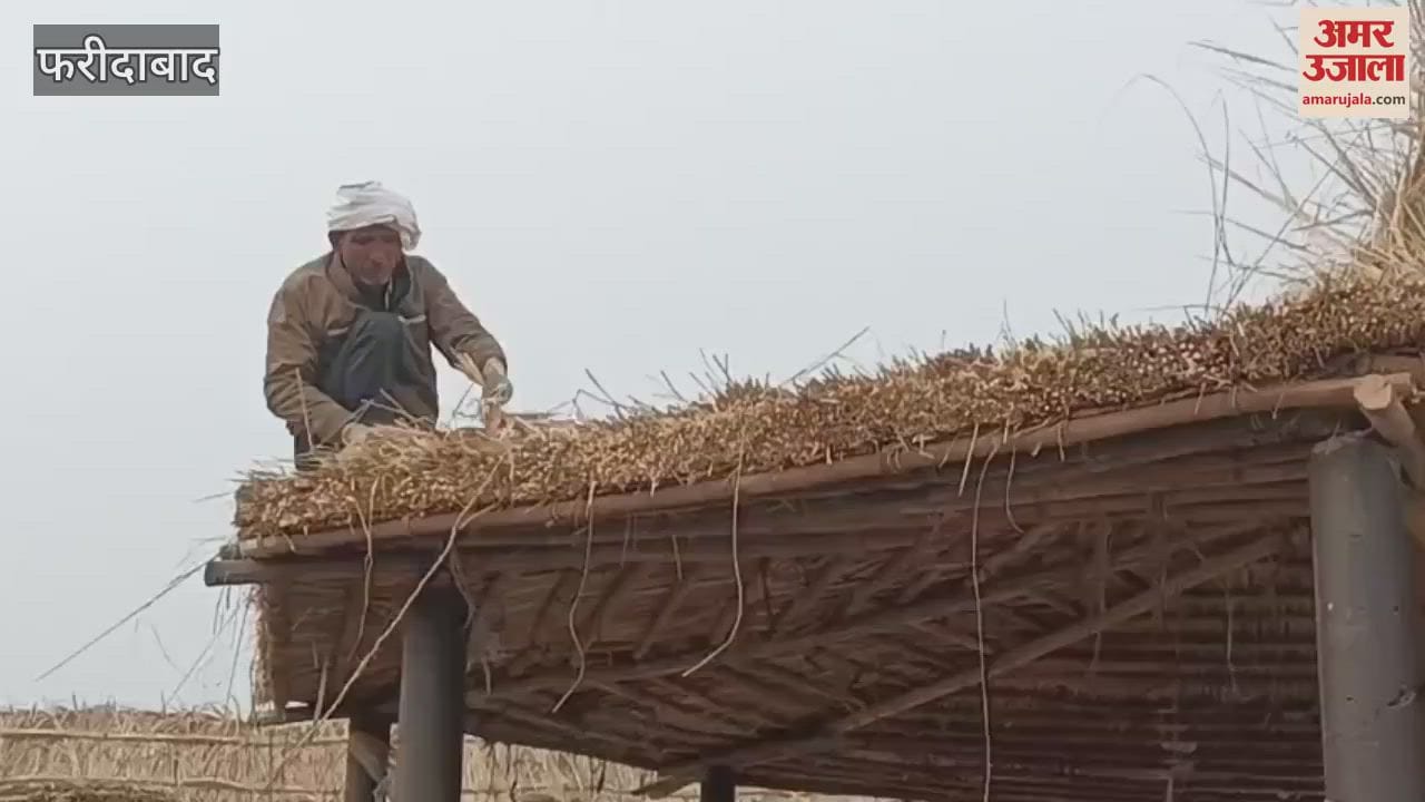 VIDEO : Preparations for Surajkund fair are in full swing