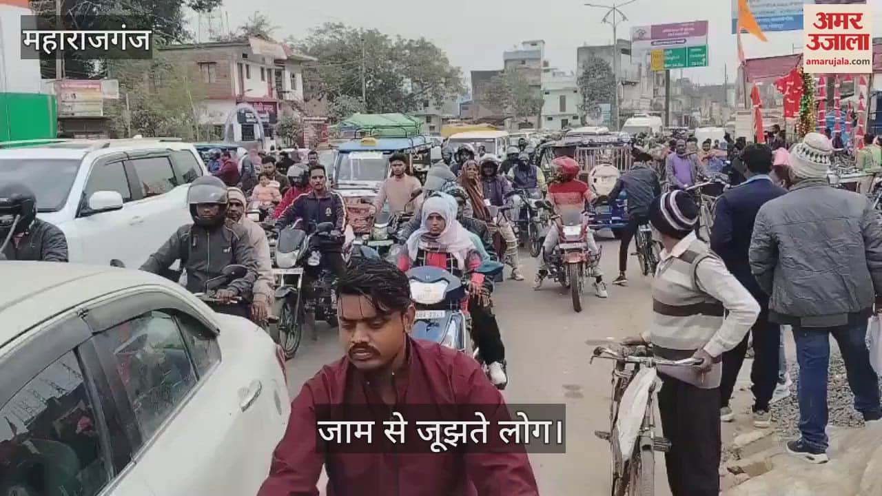 VIDEO : Pedestrians stuck in traffic for hours