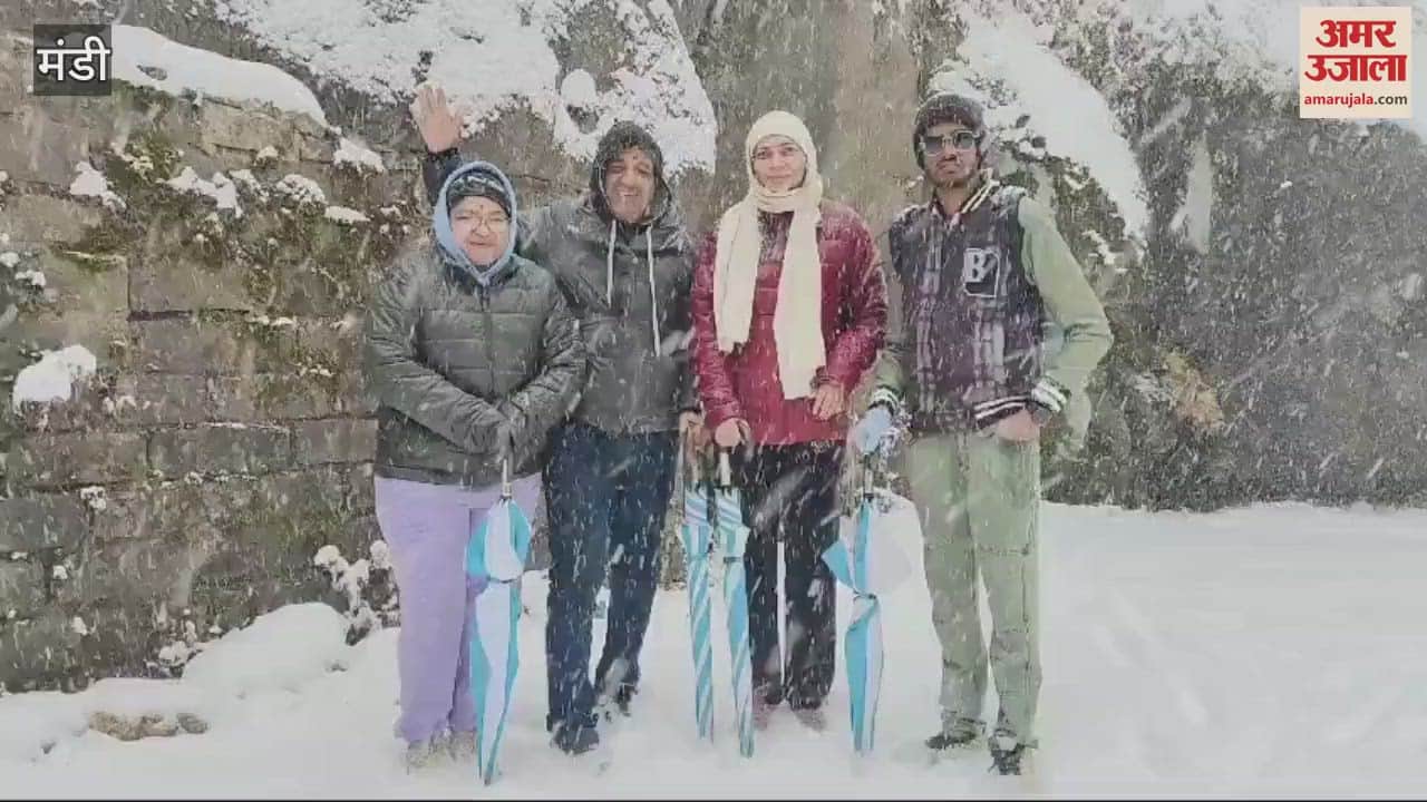 VIDEO : Tourists reached Janjehli valley of Mandi to enjoy snowfall