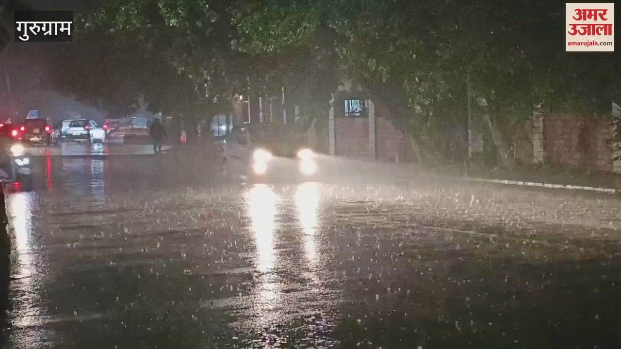 VIDEO : Rained late in the evening in Gurugram people shivered due to cold winds