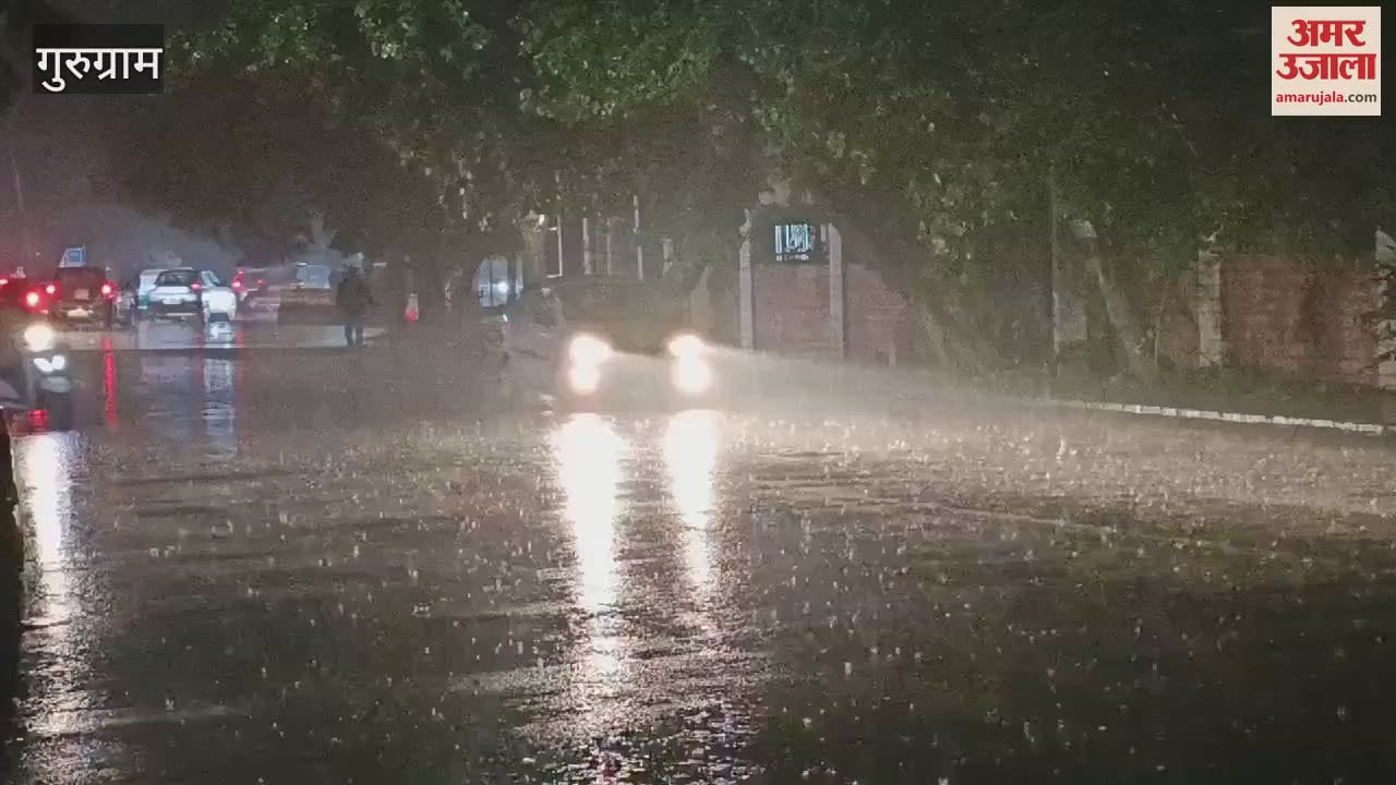 VIDEO : Rained late in the evening in Gurugram people shivered due to cold winds