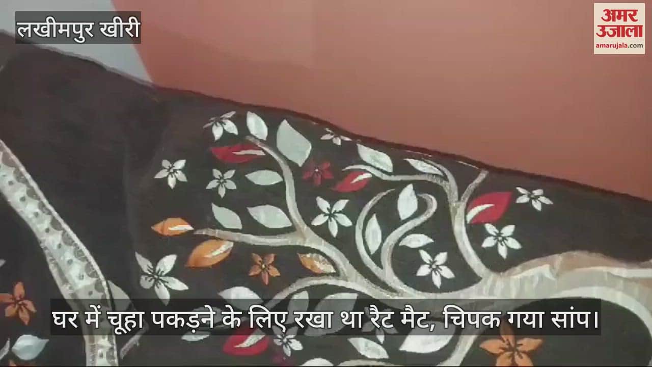 VIDEO : घर में चूहा पकड़ने के लिए रखा था रैट मैट, चिपक गया सांप
