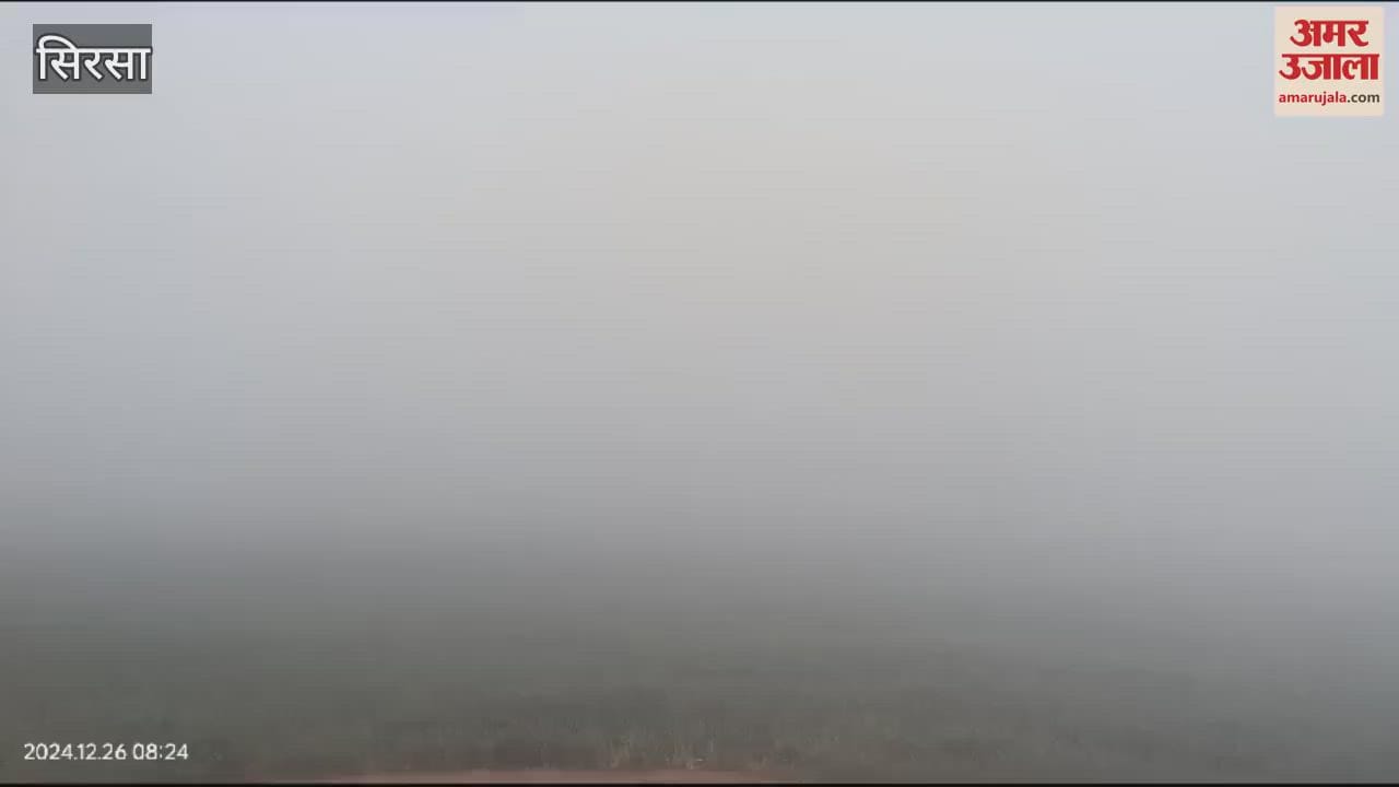 VIDEO : fog in sirsa