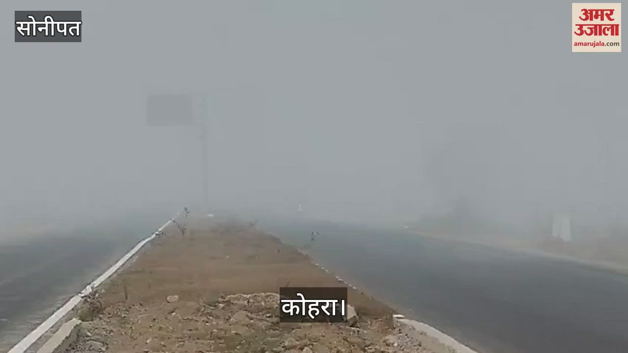 VIDEO : Fog hits rural areas of Sonipat, road and rail traffic affected