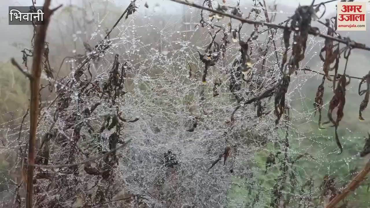 VIDEO : temperature in Bhiwani is falling below six degrees at night