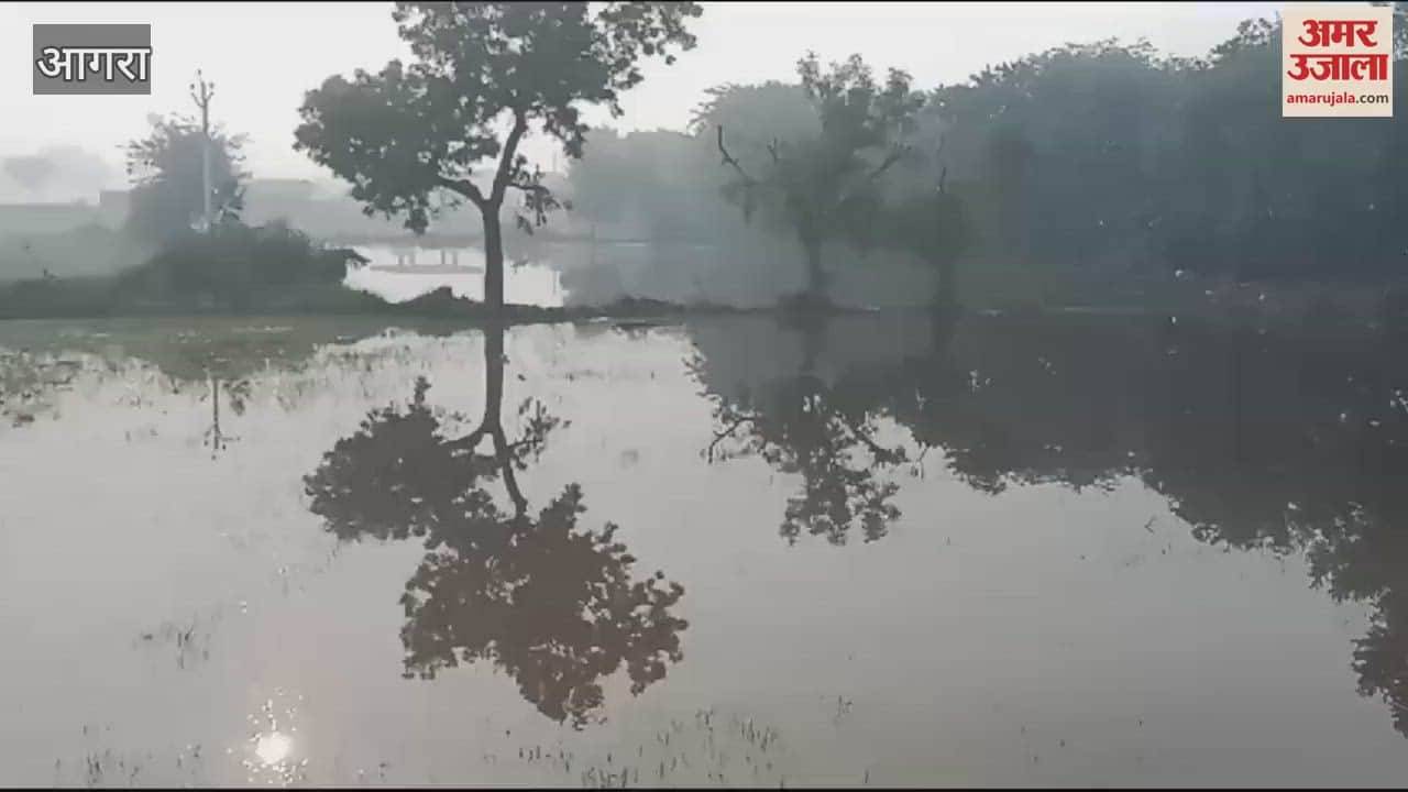 VIDEO : ओवरफ्लो होकर टूटा किरावली माइनर, छह बीघा फसल हो गई नष्ट