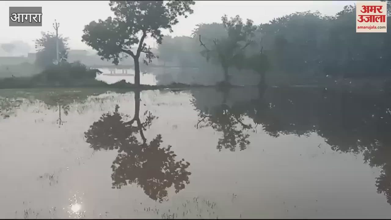 VIDEO : ओवरफ्लो होकर टूटा किरावली माइनर, छह बीघा फसल हो गई नष्ट