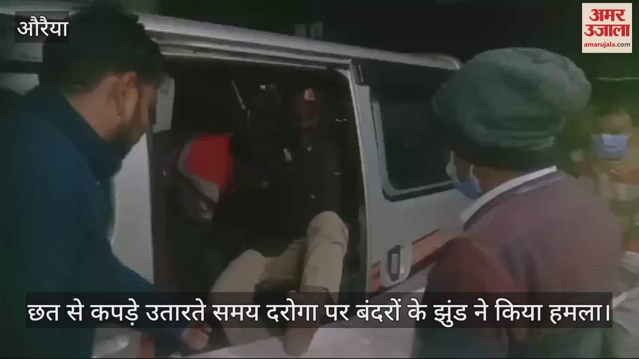 VIDEO : औरैया में बंदरों का आतंक…दरोगा पर किया हमला, सीढ़ियों से नीचे गिरने से पैर फ्रैक्चर, सैफई रेफर