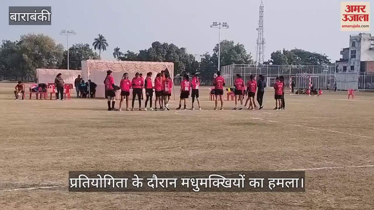VIDEO : Barabanki: केडी सिंह बाबू स्टेडियम में मधुमक्खियों का हमला, दर्जनों घायल, मची भगदड़