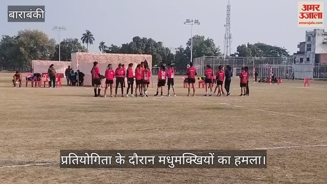 VIDEO : Barabanki: केडी सिंह बाबू स्टेडियम में मधुमक्खियों का हमला, दर्जनों घायल, मची भगदड़