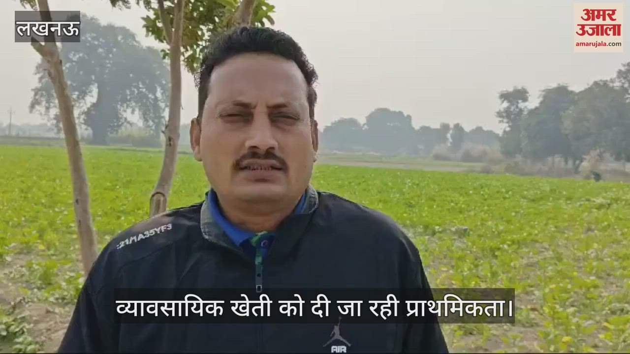 VIDEO : Sultanpur: व्यावसायिक खेती से किसान विजय कमा रहे मुनाफा, जानें कैसे बढ़ाया अपना मुनाफा
