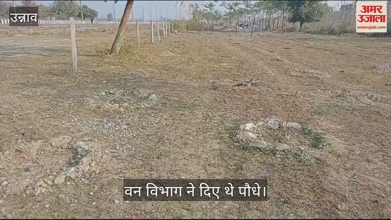 VIDEO : Two thousand plants were planted together in Trans Ganga City, dried up due to lack of maintenance