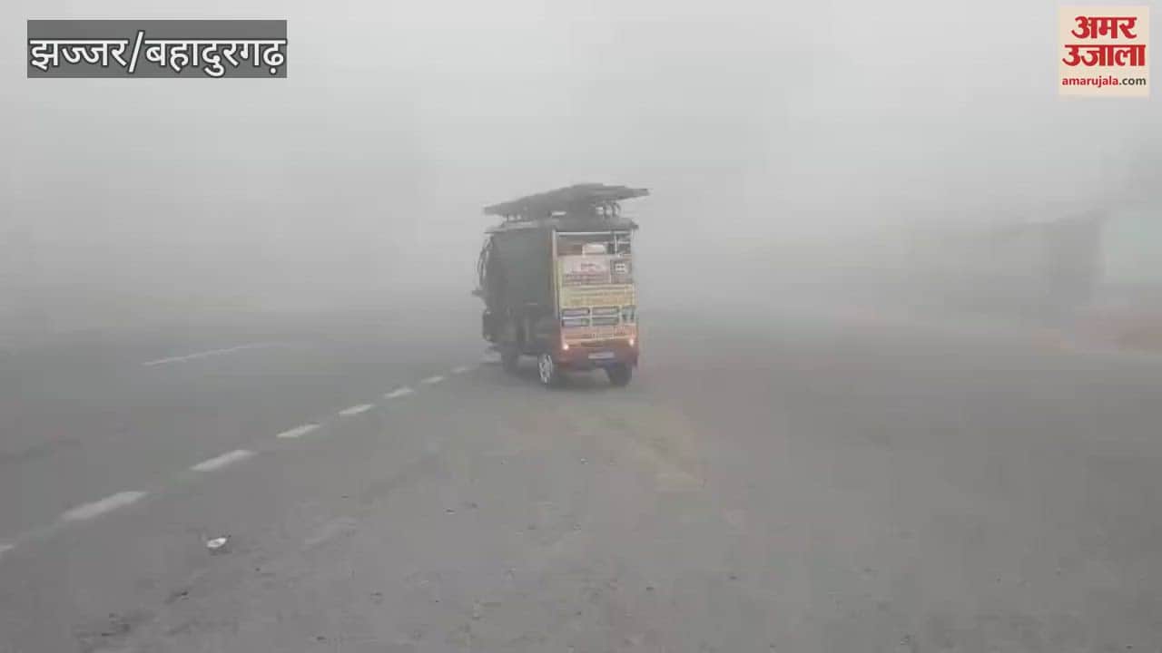 VIDEO : Fog in Jhajjar