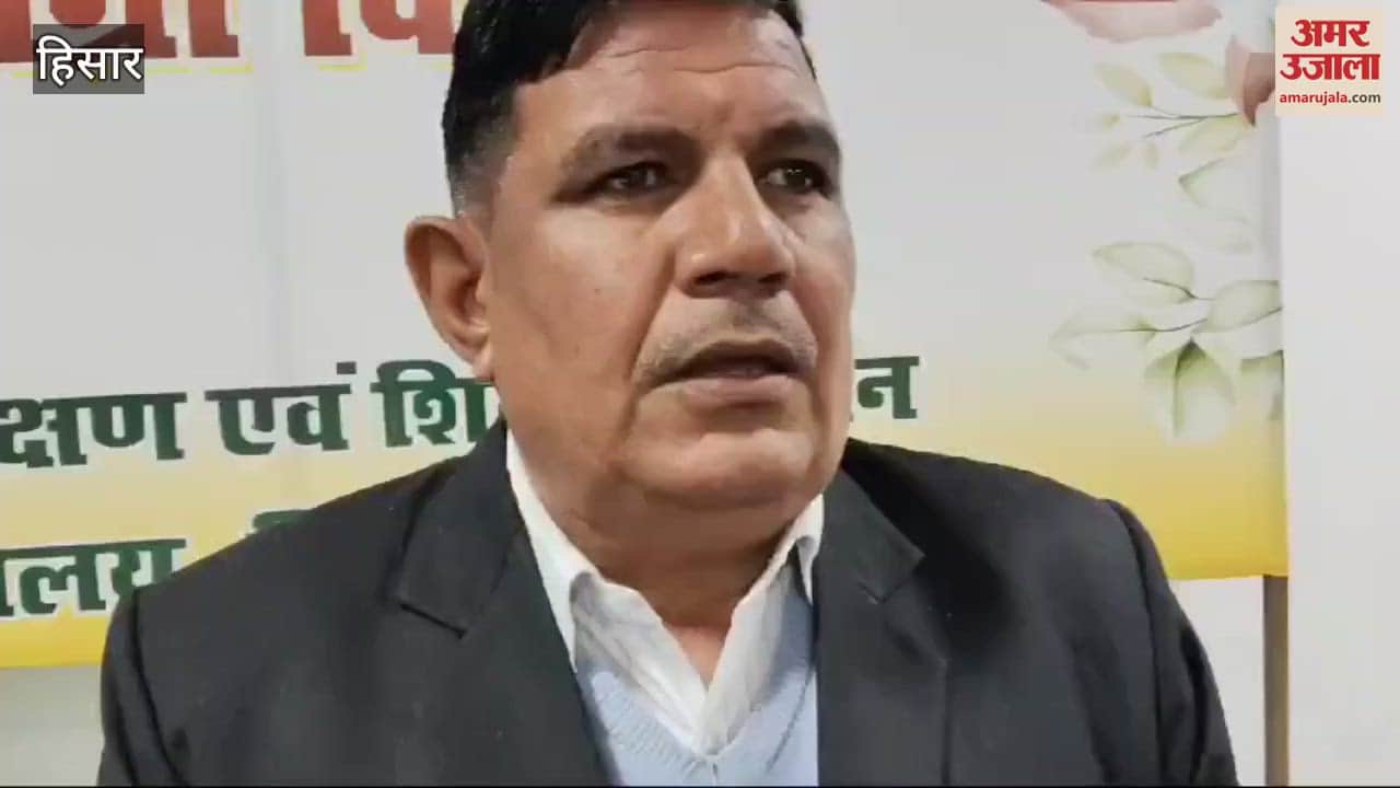 VIDEO : Danger of yellow rust on wheat in Hisar due to excessive cold and humid weather