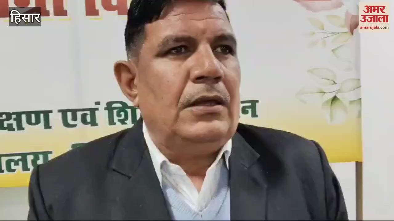 VIDEO : Danger of yellow rust on wheat in Hisar due to excessive cold and humid weather