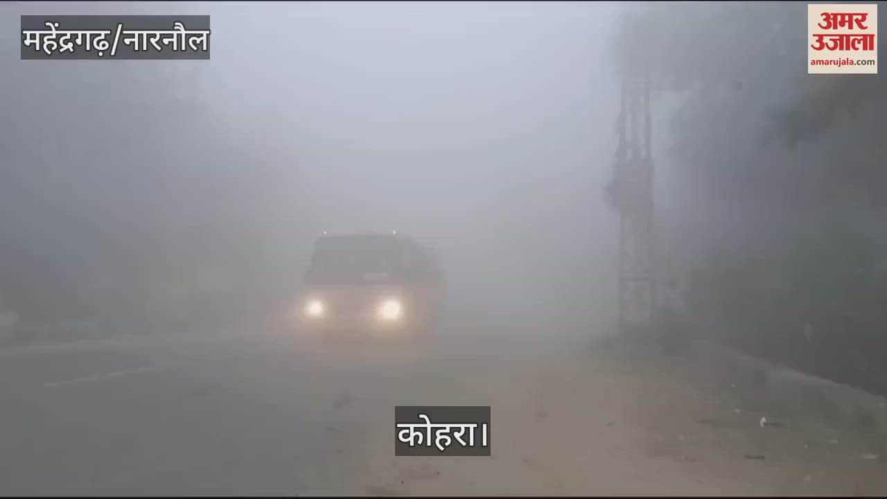 VIDEO : Fog slowed down the speed of vehicles in Narnaul, visibility was less than 50 meters