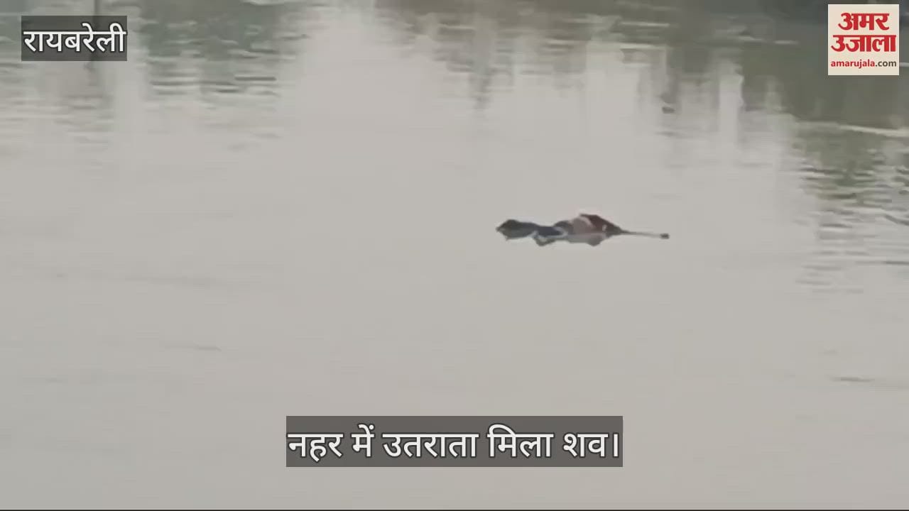 VIDEO : Raebareli: शारदा नहर में उतराता मिला युवती का शव, हत्याकर फेंके जाने की आशंका