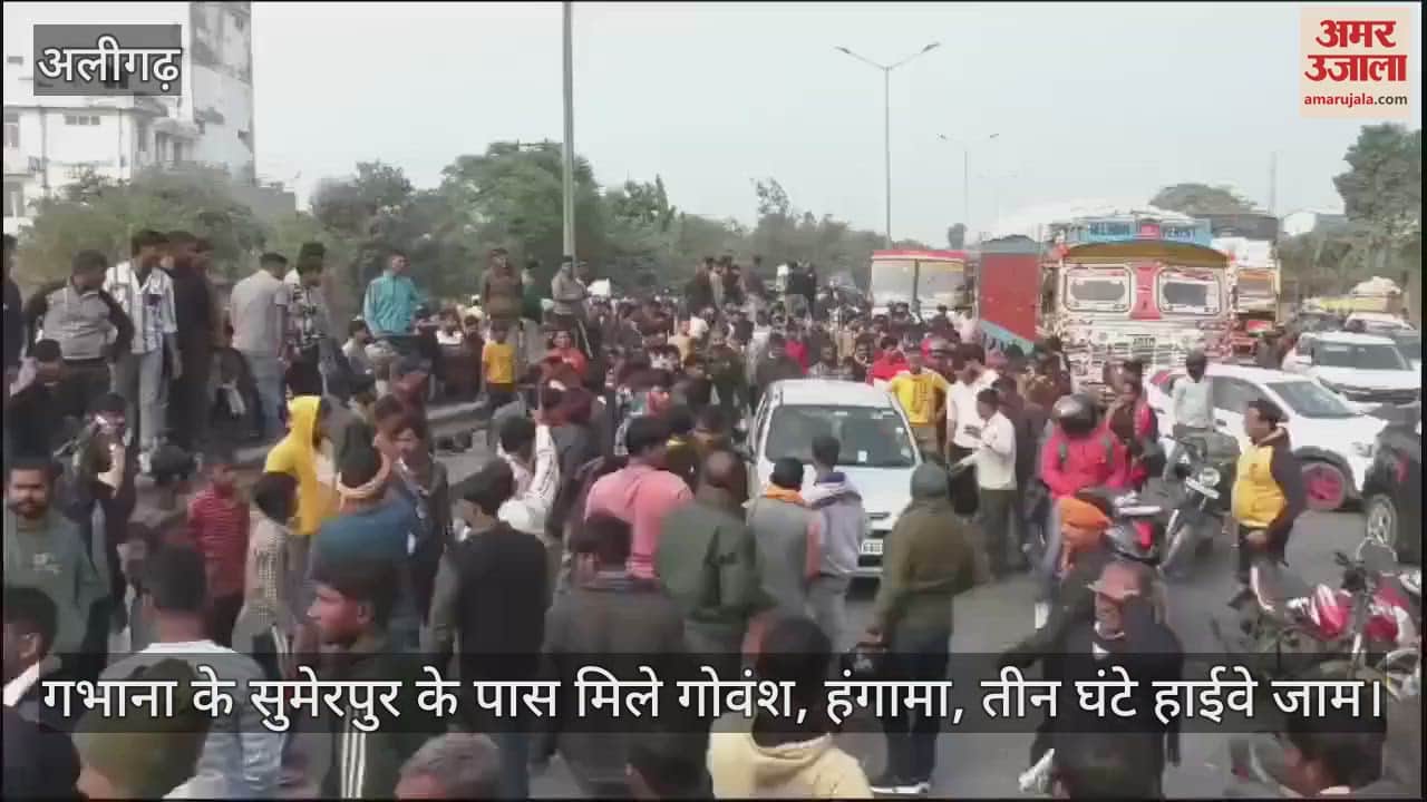 VIDEO : गभाना के सुमेरपुर के पास मिले गोवंश, हंगामा, तीन घंटे हाईवे जाम