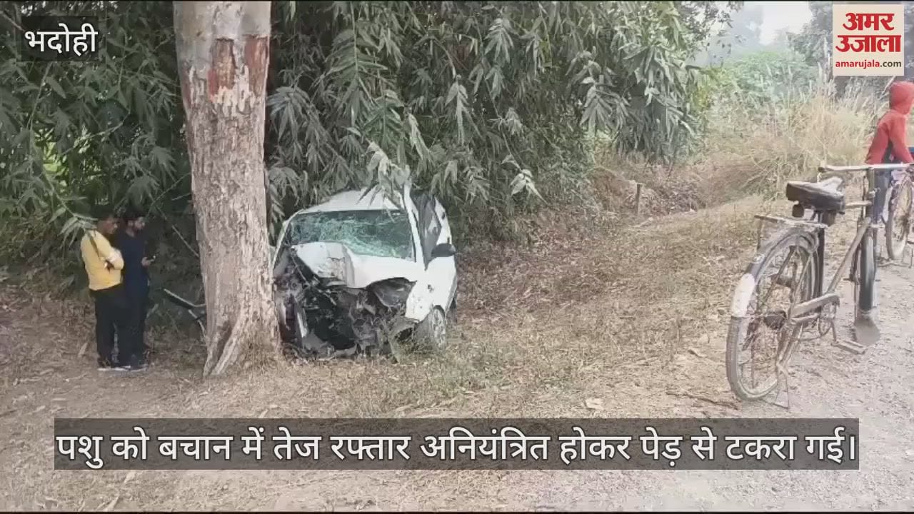 VIDEO : Car collided with a tree in Bhadohi, driver died, fell into a pit while saving an animal