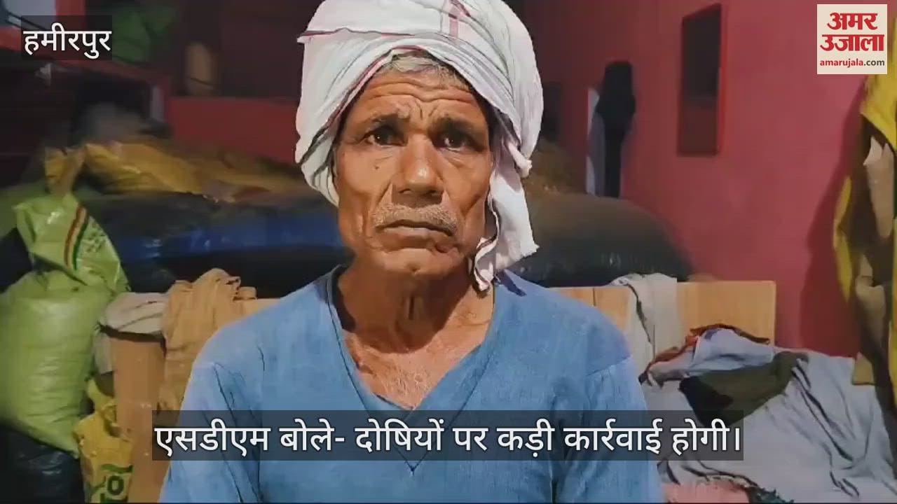 VIDEO : farmer did not sell the crop, but the purchase was made for five lakhs