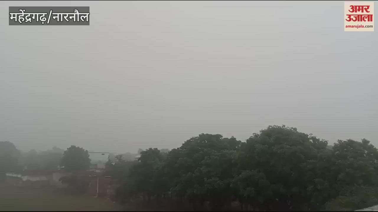 VIDEO : Rain in Narnaul