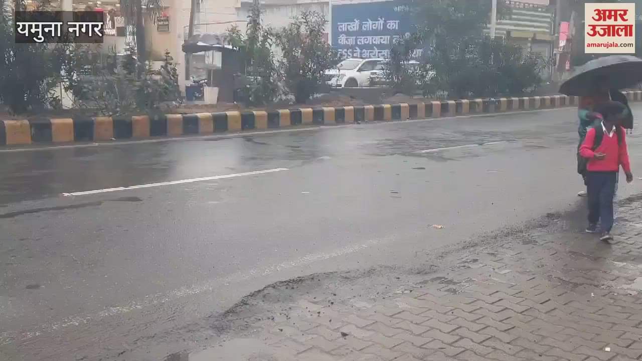 VIDEO : Showers of rain in Yamunanagar, coolness in weather