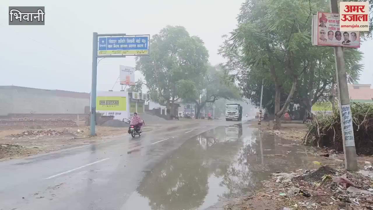 VIDEO : Weather changed due to western disturbance in Bhiwani, water spread on city roads due to 12 mm rain