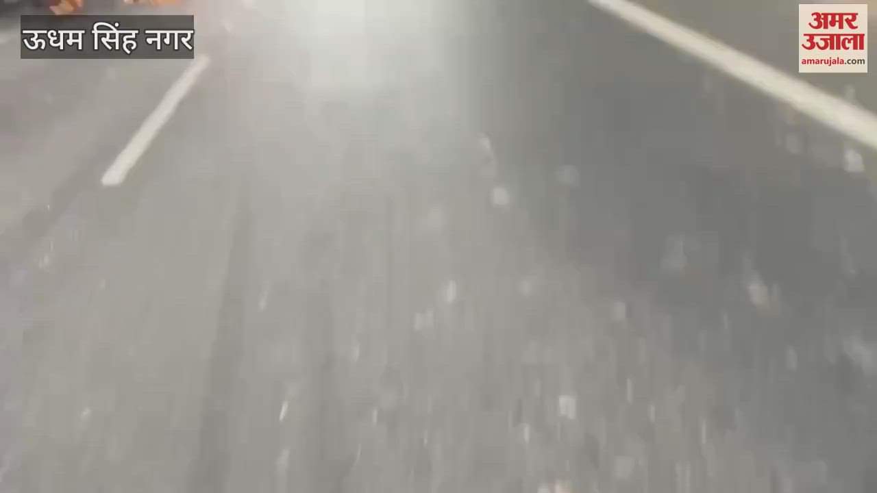 VIDEO : कार और पिकअप की आमने-सामने भिड़ंत...दोनों गाड़ियों में लगी आग; देखें वीडियो