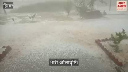VIDEO : Hailstorm in Majra Piau village of Narnaund in Hisar, huge loss to farmers
