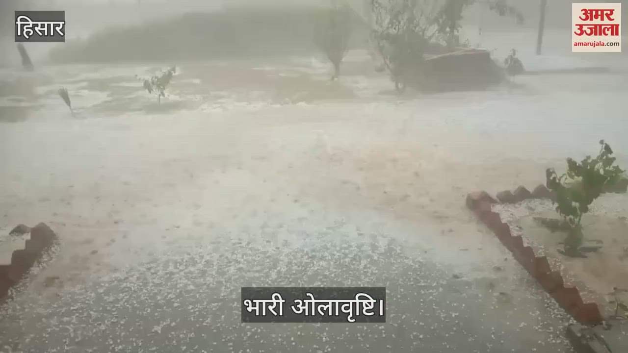 VIDEO : Hailstorm in Majra Piau village of Narnaund in Hisar, huge loss to farmers