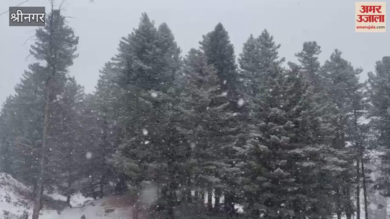 VIDEO : Snowfall increases cold in Shopian, Mughal Road closed again due to snow