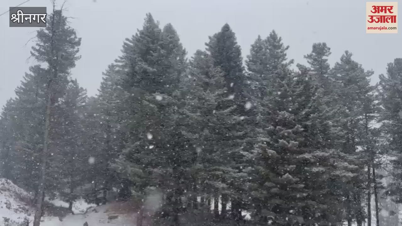 VIDEO : Snowfall increases cold in Shopian, Mughal Road closed again due to snow