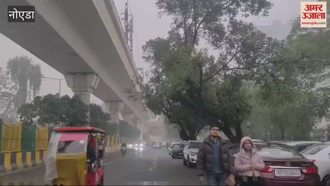 VIDEO : Heavy rain in Noida today