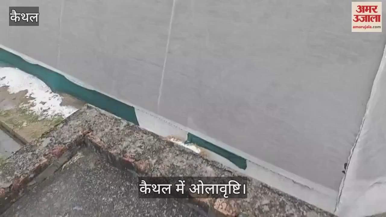 VIDEO : Late cabbage, late potato, late mustard crops in Kaithal's Sewan area were damaged by hailstorm