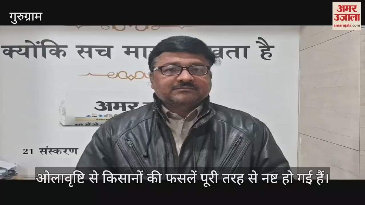 VIDEO : Wheat and mustard crops damaged due to hail in Gurugram