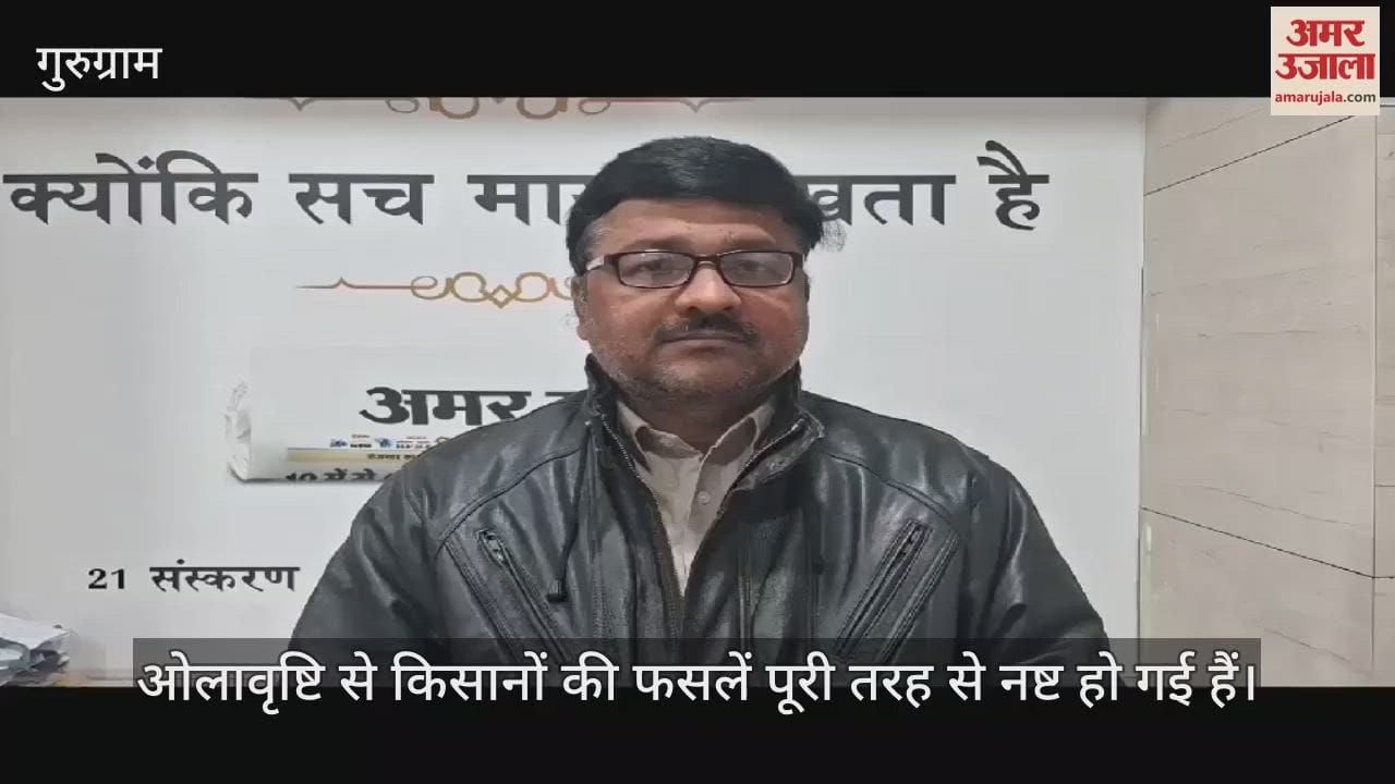 VIDEO : Wheat and mustard crops damaged due to hail in Gurugram