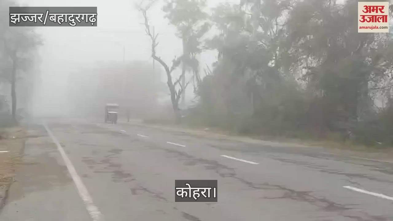 VIDEO : Fog increased after rain in Jhajjar, visibility was 20 to 30 meters
