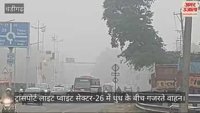 VIDEO : चंडीगढ़ में बारिश के बाद छाई धुंध, बढ़ी ठंड