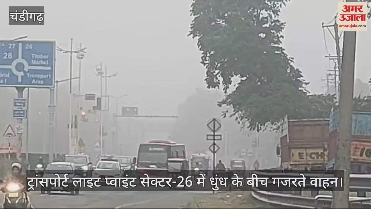 VIDEO : चंडीगढ़ में बारिश के बाद छाई धुंध, बढ़ी ठंड