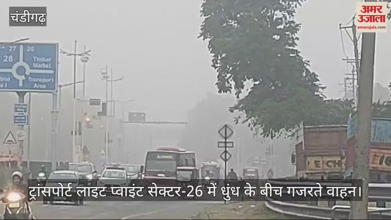 VIDEO : चंडीगढ़ में बारिश के बाद छाई धुंध, बढ़ी ठंड
