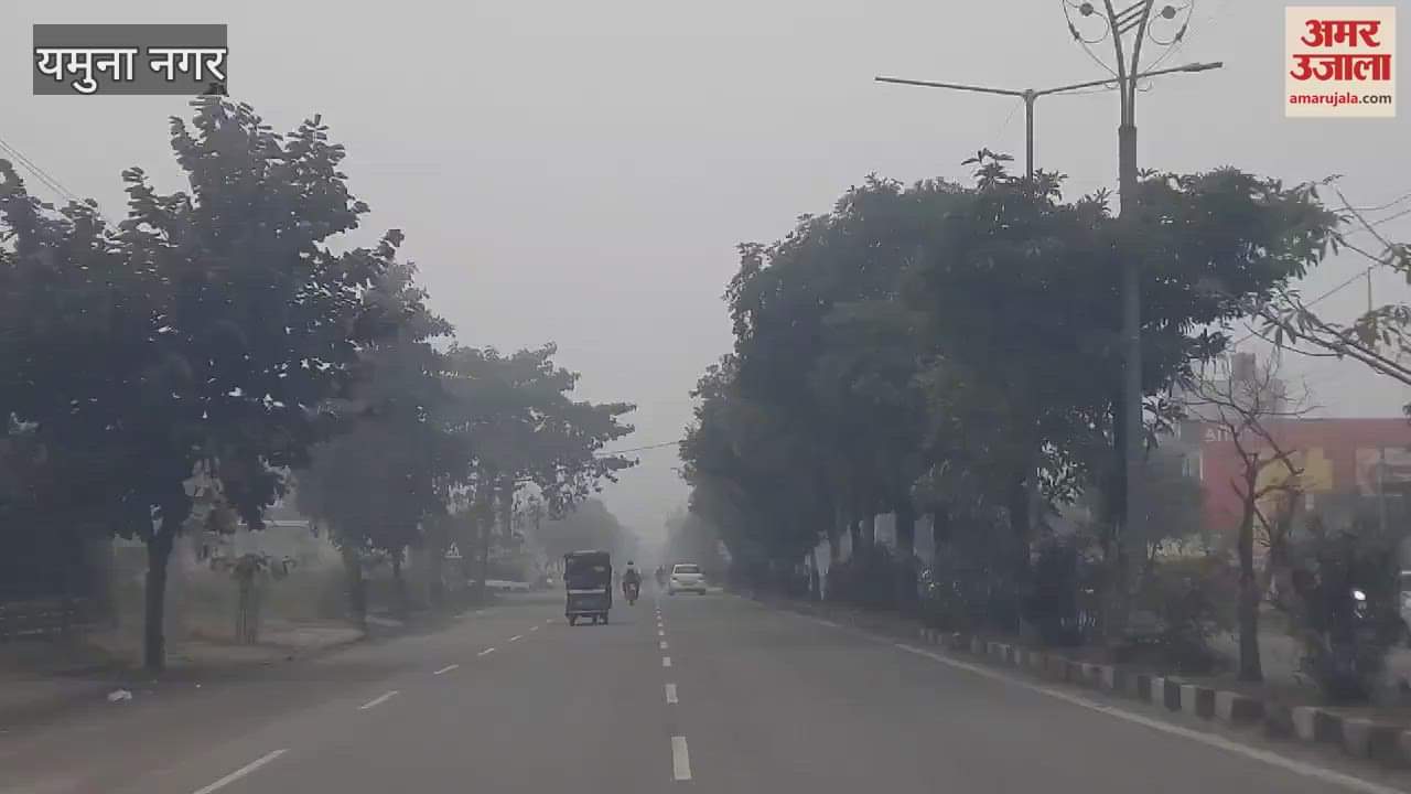 VIDEO : no sunshine in Yamunanagar even on the third day, life became chilly due to icy winds