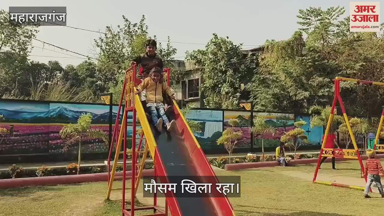 VIDEO : The day was sunny, people went to the market