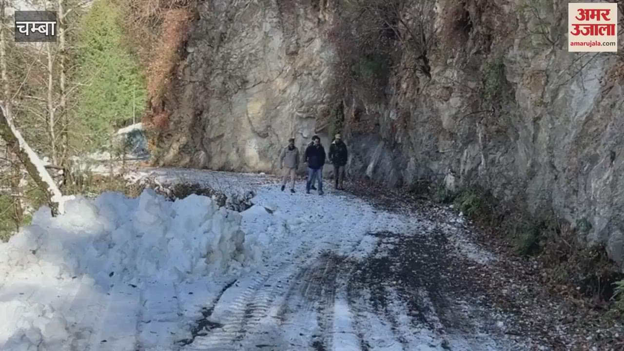 VIDEO : Kuldeep Jamwal Said Illegal hunting of wild animals will not be allowed under any circumstances