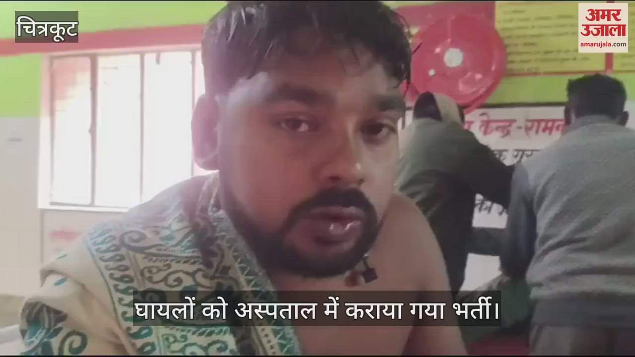 VIDEO : 11 people including a girl injured in bee attack in Chitrakoot