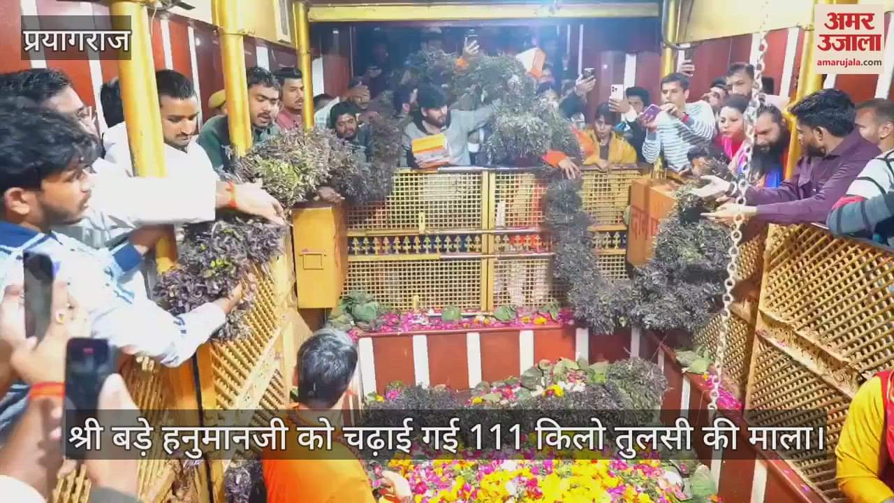 VIDEO : Mahakumbh - 111 kg Tulsi garland was garlanded to Shri Bade Hanumanji, chants of Bajrang Bali echoed.