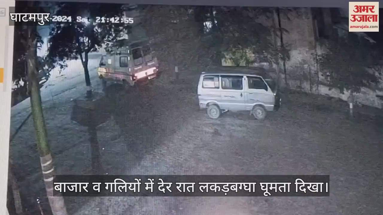 VIDEO : Hyena seen in Bhitargaon, captured in CCTV camera