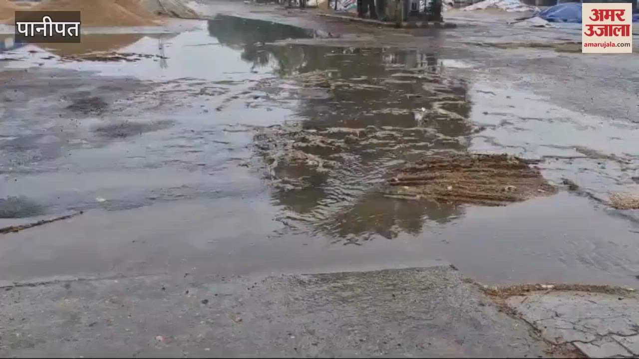 VIDEO : सफीदों मंडी में बारिश में भिगी हजारों किवंटल धान